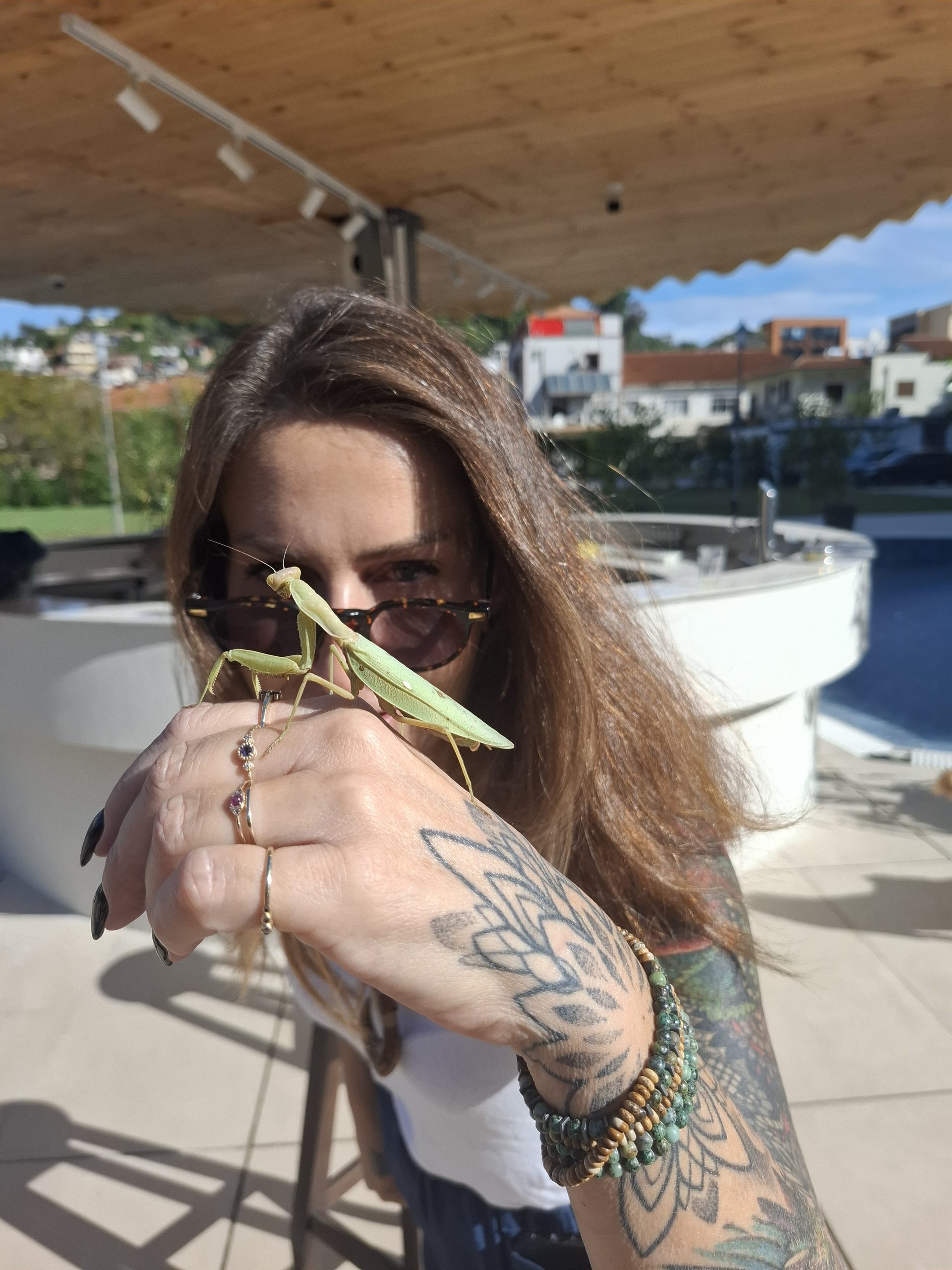 דרך שטח בהרים